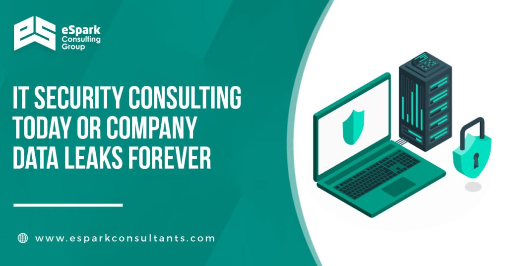 IT Security Consulting Today or Company Data Leaks Forever